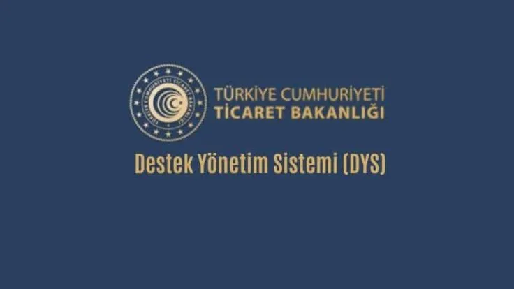 dys nedir